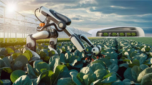 AI in Agriculture